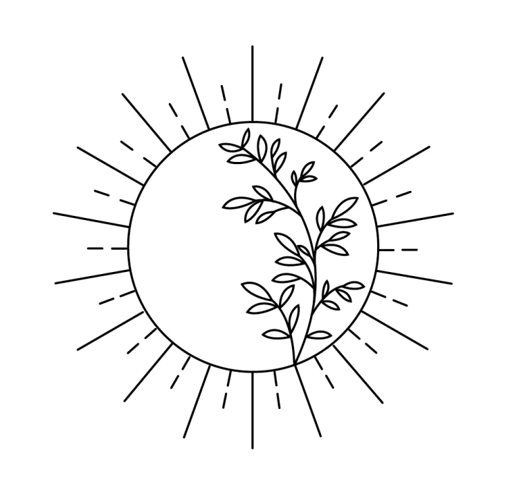 Sonne Transparent Johanna Huettmann